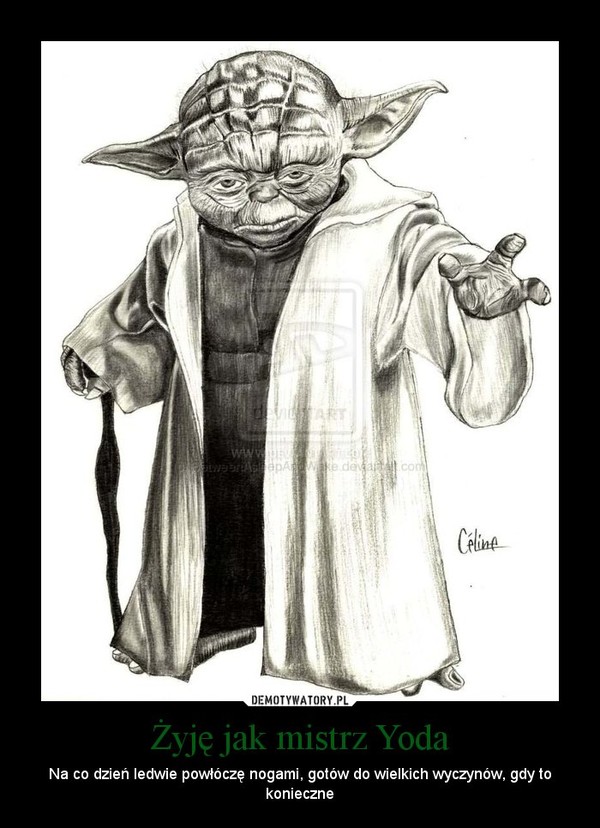 Żyję jak mistrz Yoda