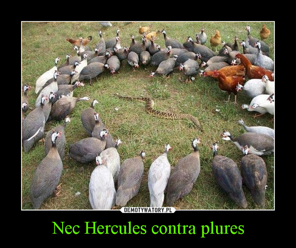 Nec Hercules contra plures –  