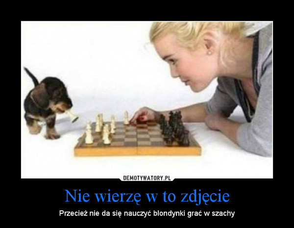 Nie wierzę w to zdjęcie – Przecież nie da się nauczyć blondynki grać w szachy 