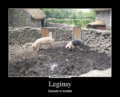 Leginsy