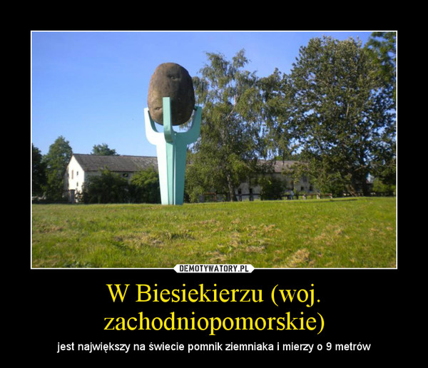 W Biesiekierzu (woj. zachodniopomorskie) – jest największy na świecie pomnik ziemniaka i mierzy o 9 metrów 