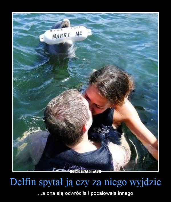 Delfin spytał ją czy za niego wyjdzie – ...a ona się odwróciła i pocałowała innego 