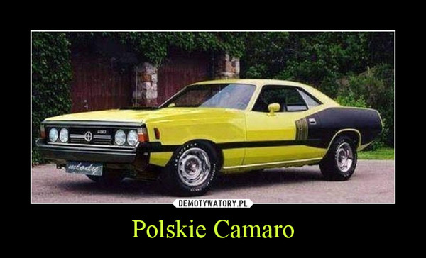 Polskie Camaro