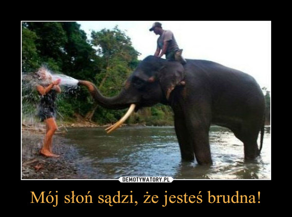Mój słoń sądzi, że jesteś brudna! –  