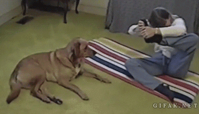 Niecodzienny widok – Pies tresuje swojego człowieka 