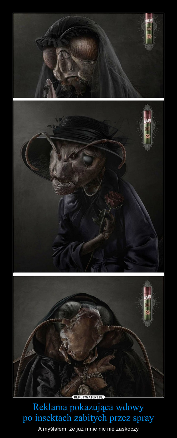 Reklama pokazująca wdowypo insektach zabitych przez spray – A myślałem, że już mnie nic nie zaskoczy 