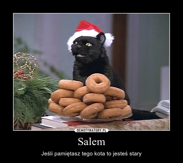 Salem – Jeśli pamiętasz tego kota to jesteś stary 