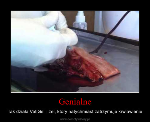Genialne – Tak działa VetiGel - żel, który natychmiast zatrzymuje krwiawienie 