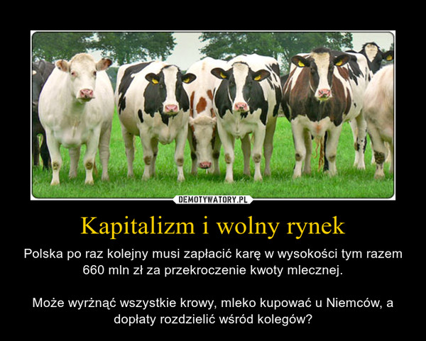 Kapitalizm i wolny rynek – Polska po raz kolejny musi zapłacić karę w wysokości tym razem 660 mln zł za przekroczenie kwoty mlecznej.Może wyrżnąć wszystkie krowy, mleko kupować u Niemców, a dopłaty rozdzielić wśród kolegów? 