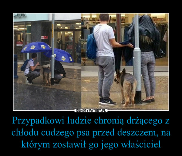 Przypadkowi ludzie chronią drżącego z chłodu cudzego psa przed deszczem, na którym zostawił go jego właściciel –  