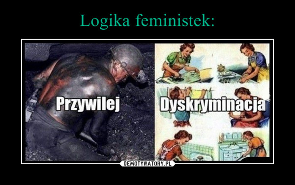 Logika feministek: