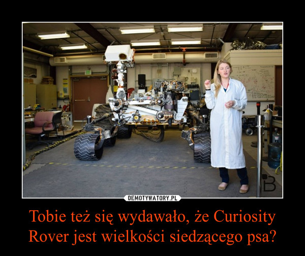 Tobie też się wydawało, że Curiosity Rover jest wielkości siedzącego psa? –  