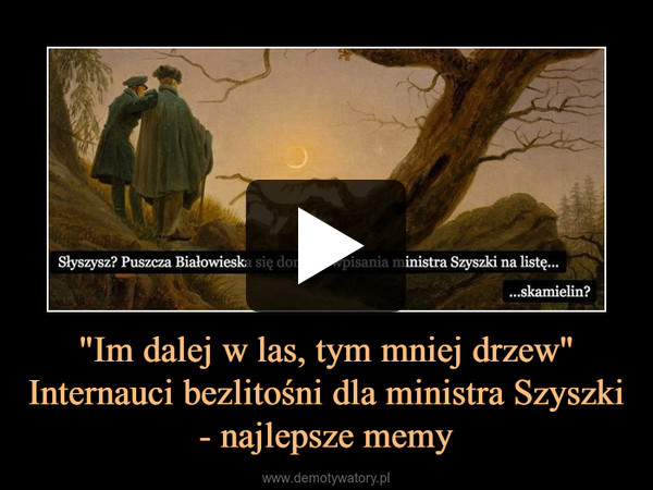 "Im dalej w las, tym mniej drzew" Internauci bezlitośni dla ministra Szyszki - najlepsze memy –  