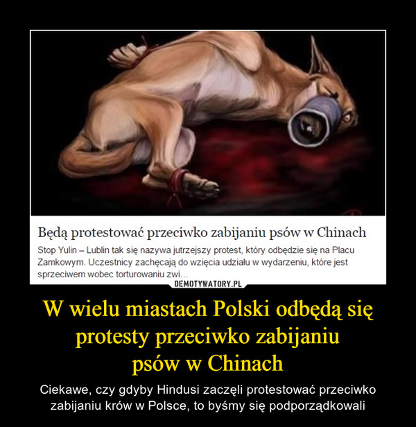 W wielu miastach Polski odbędą się protesty przeciwko zabijaniupsów w Chinach – Ciekawe, czy gdyby Hindusi zaczęli protestować przeciwko zabijaniu krów w Polsce, to byśmy się podporządkowali Będą protestować przeciwko zabijaniu psów w ChinachStop Yulin - Lublin tak się nazywa jutrzejszy protest, który odbędzie się na PlacuZamkowym. Uczestnicy zachęcają do wzięcia udziału w wydarzeniu, które jestsprzeciwem wobec torturowaniu zwi...