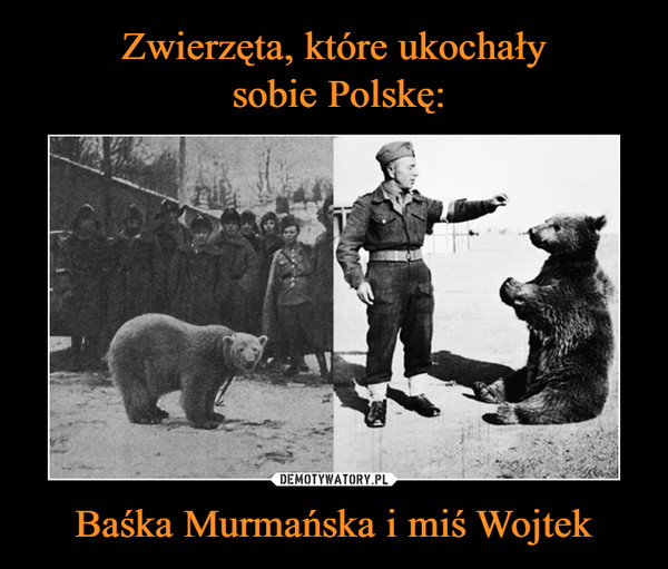 Baśka Murmańska i miś Wojtek –  