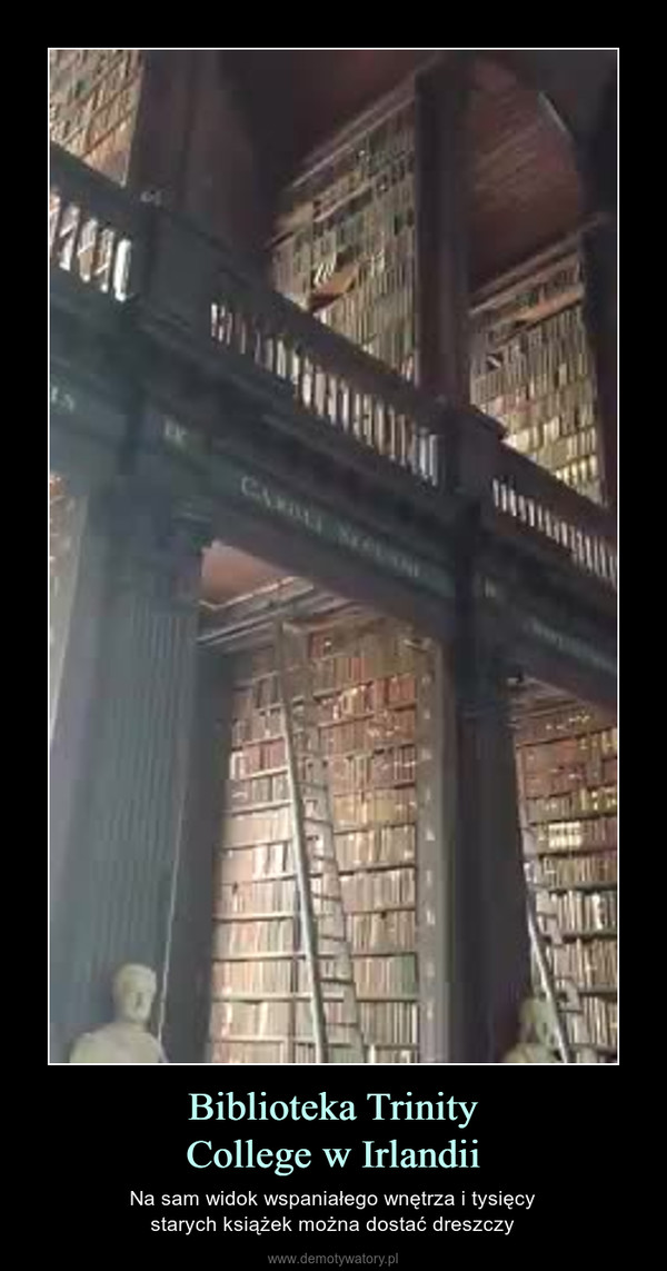 Biblioteka TrinityCollege w Irlandii – Na sam widok wspaniałego wnętrza i tysięcystarych książek można dostać dreszczy 