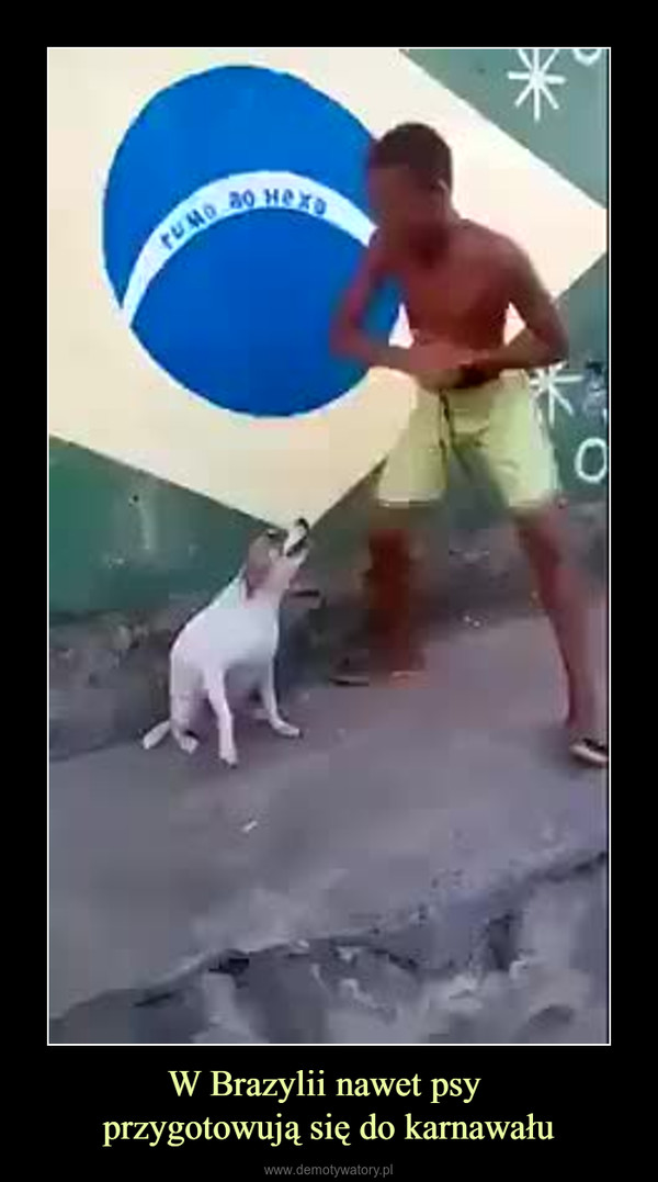 W Brazylii nawet psy przygotowują się do karnawału –  