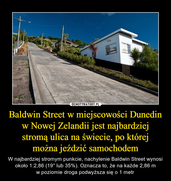 Baldwin Street w miejscowości Dunedin w Nowej Zelandii jest najbardziej stromą ulica na świecie, po której
można jeździć samochodem