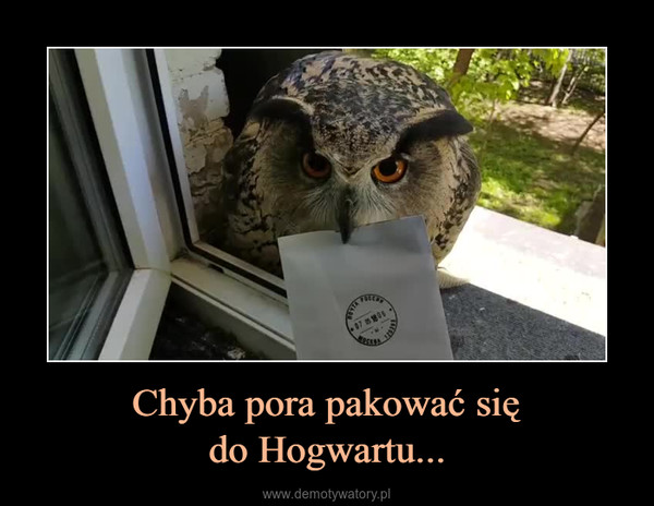 Chyba pora pakować siędo Hogwartu... –  