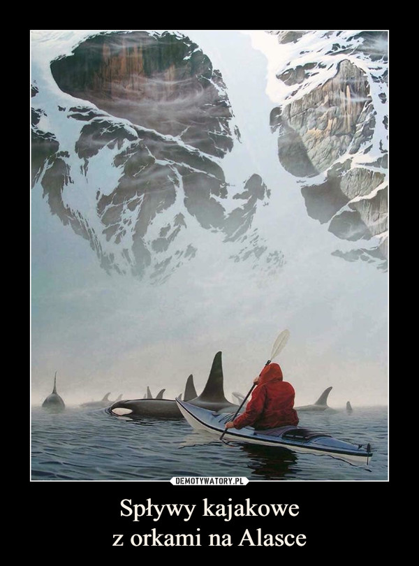 Spływy kajakowez orkami na Alasce –  