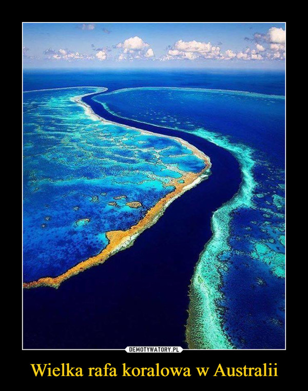 Wielka rafa koralowa w Australii –  