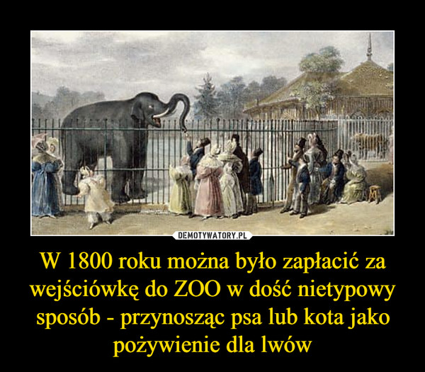 W 1800 roku można było zapłacić za wejściówkę do ZOO w dość nietypowy sposób - przynosząc psa lub kota jako pożywienie dla lwów –  