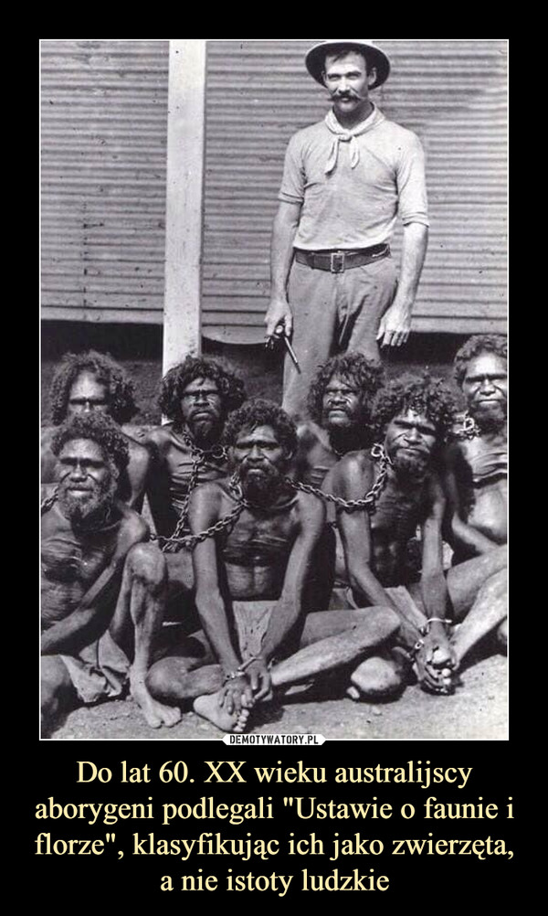 Do lat 60. XX wieku australijscy aborygeni podlegali "Ustawie o faunie i florze", klasyfikując ich jako zwierzęta, a nie istoty ludzkie –  