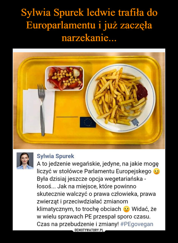 Sylwia Spurek ledwie trafiła do Europarlamentu i już zaczęła narzekanie...