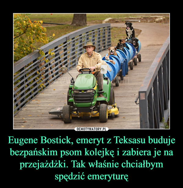 Eugene Bostick, emeryt z Teksasu buduje bezpańskim psom kolejkę i zabiera je na przejażdżki. Tak właśnie chciałbym spędzić emeryturę