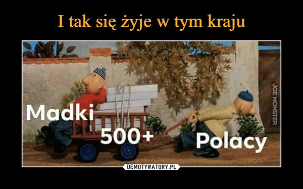  –  Madki 500+ Polacy