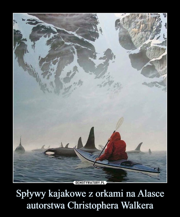 Spływy kajakowe z orkami na Alasce autorstwa Christophera Walkera