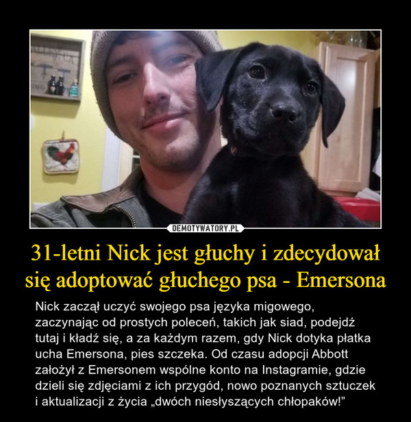 31-letni Nick jest głuchy i zdecydował się adoptować głuchego psa - Emersona