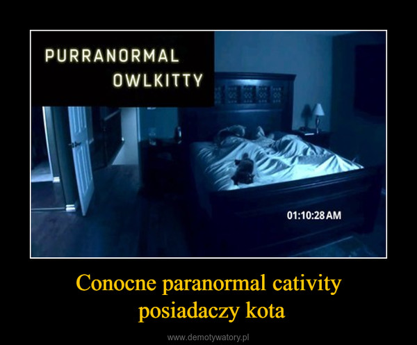 Conocne paranormal cativity posiadaczy kota –  