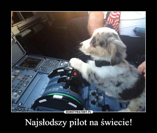 Najsłodszy pilot na świecie! –  