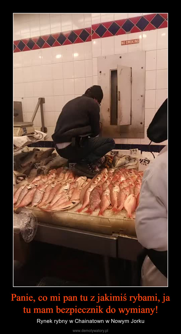 Panie, co mi pan tu z jakimiś rybami, ja tu mam bezpiecznik do wymiany! – Rynek rybny w Chainatown w Nowym Jorku 