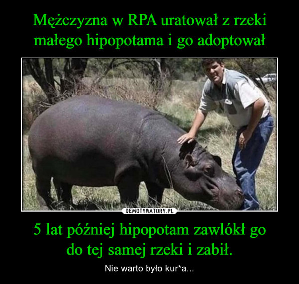 Mężczyzna w RPA uratował z rzeki małego hipopotama i go adoptował 5 lat później hipopotam zawlókł go
do tej samej rzeki i zabił.