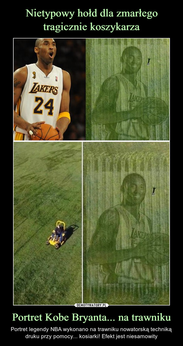 Portret Kobe Bryanta... na trawniku – Portret legendy NBA wykonano na trawniku nowatorską techniką druku przy pomocy... kosiarki! Efekt jest niesamowity 
