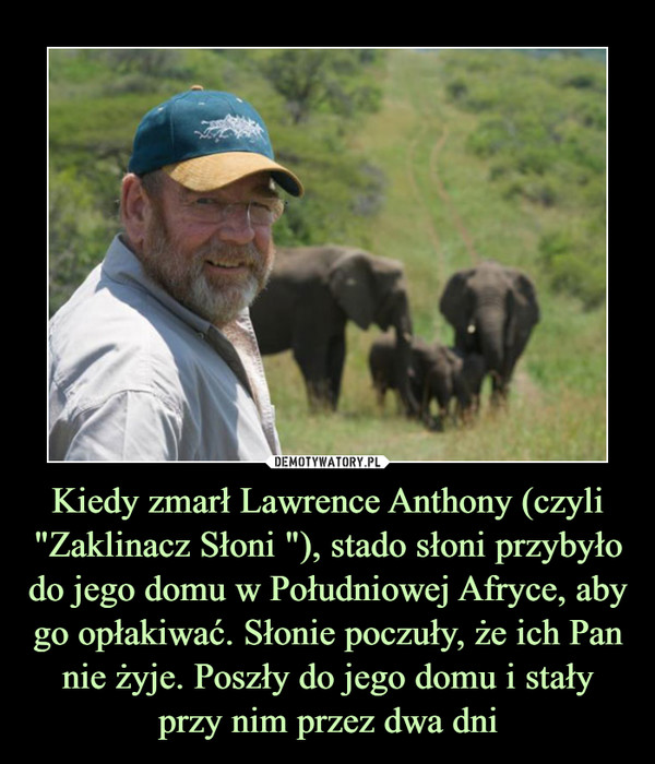 Kiedy zmarł Lawrence Anthony (czyli "Zaklinacz Słoni "), stado słoni przybyło do jego domu w Południowej Afryce, aby go opłakiwać. Słonie poczuły, że ich Pan nie żyje. Poszły do jego domu i stały przy nim przez dwa dni