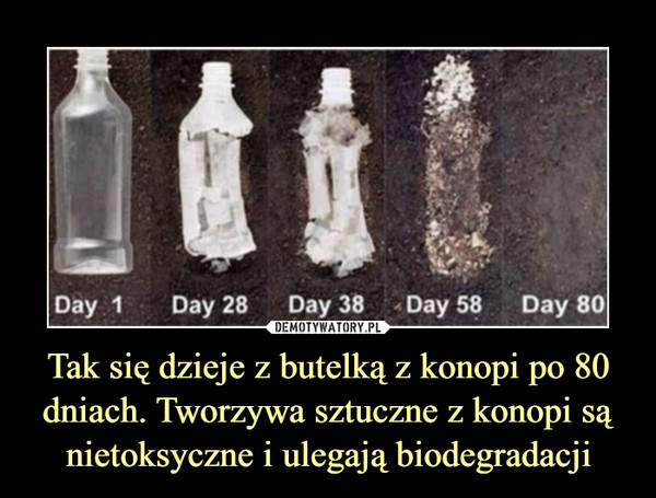 Tak się dzieje z butelką z konopi po 80 dniach. Tworzywa sztuczne z konopi są nietoksyczne i ulegają biodegradacji –  