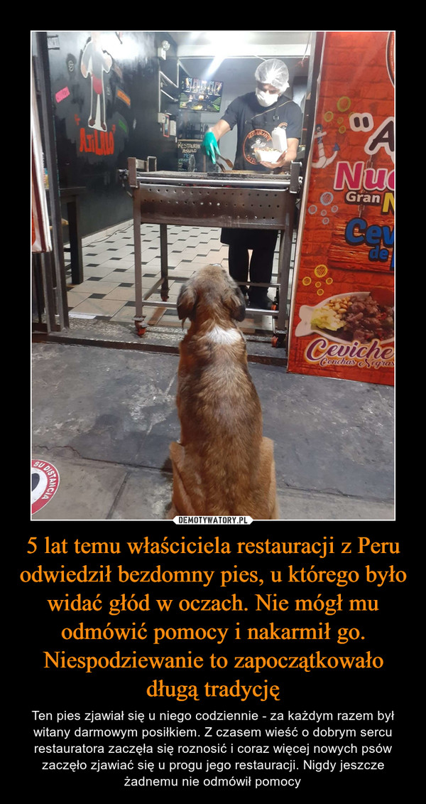 5 lat temu właściciela restauracji z Peru odwiedził bezdomny pies, u którego było widać głód w oczach. Nie mógł mu odmówić pomocy i nakarmił go. Niespodziewanie to zapoczątkowało długą tradycję – Ten pies zjawiał się u niego codziennie - za każdym razem był witany darmowym posiłkiem. Z czasem wieść o dobrym sercu restauratora zaczęła się roznosić i coraz więcej nowych psów zaczęło zjawiać się u progu jego restauracji. Nigdy jeszcze żadnemu nie odmówił pomocy 