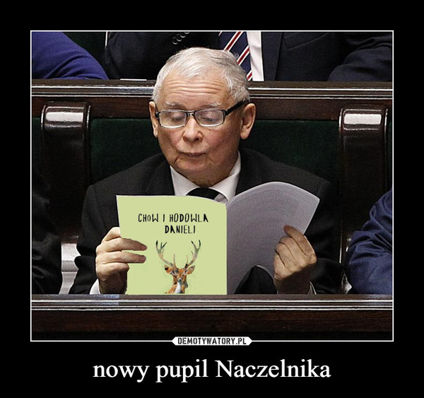 nowy pupil Naczelnika