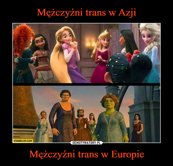 Mężczyźni trans w Europie –  