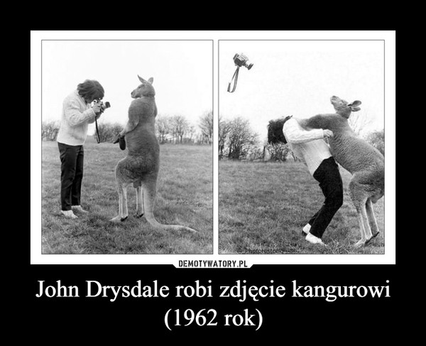 John Drysdale robi zdjęcie kangurowi (1962 rok) –  