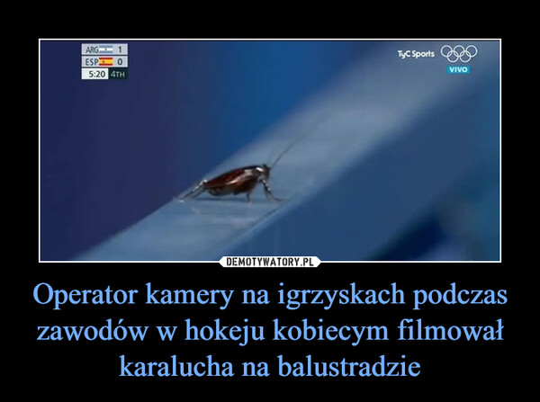 Operator kamery na igrzyskach podczas zawodów w hokeju kobiecym filmował karalucha na balustradzie –  