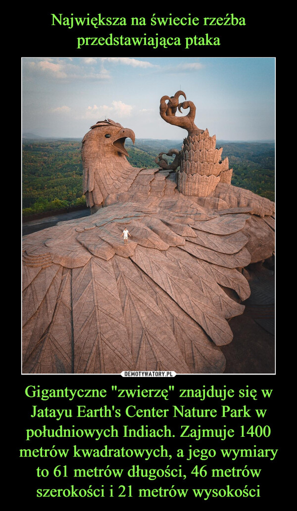 Największa na świecie rzeźba przedstawiająca ptaka Gigantyczne "zwierzę" znajduje się w Jatayu Earth's Center Nature Park w południowych Indiach. Zajmuje 1400 metrów kwadratowych, a jego wymiary to 61 metrów długości, 46 metrów szerokości i 21 metrów wysokości