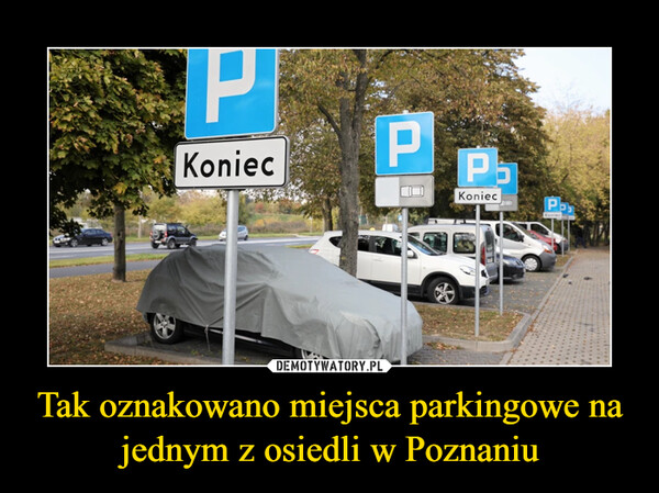 Tak oznakowano miejsca parkingowe na jednym z osiedli w Poznaniu –  