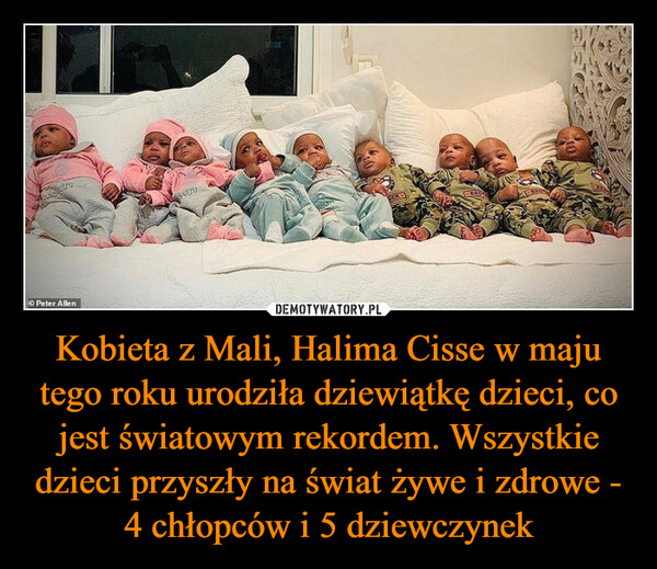 Kobieta z Mali, Halima Cisse w maju tego roku urodziła dziewiątkę dzieci, co jest światowym rekordem. Wszystkie dzieci przyszły na świat żywe i zdrowe - 4 chłopców i 5 dziewczynek –  