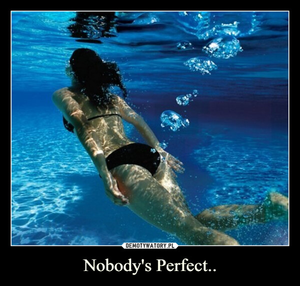 Nobody's Perfect.. –  