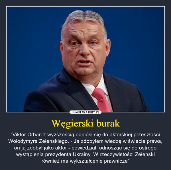 Węgierski burak – "Viktor Orban z wyższością odniósł się do aktorskiej przeszłości Wołodymyra Zełenskiego. - Ja zdobyłem wiedzę w świecie prawa, on ją zdobył jako aktor - powiedział, odnosząc się do ostrego wystąpienia prezydenta Ukrainy. W rzeczywistości Zełenski również ma wykształcenie prawnicze" 