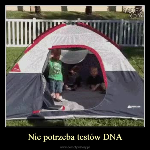 Nie potrzeba testów DNA –  